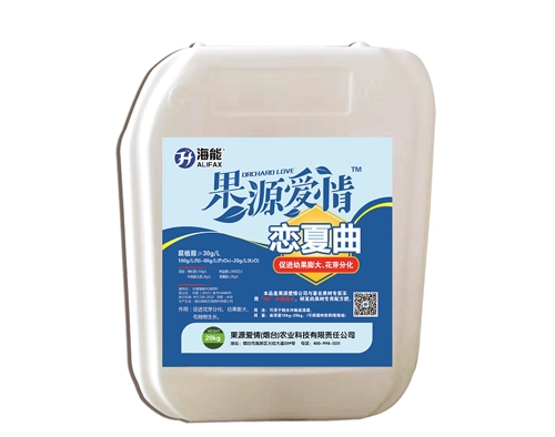 威海戀夏曲