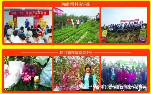 抗寒利器，久久久久久久精品免费久精品蜜桃1號